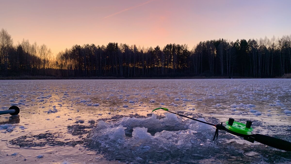 Фото с сайта: https://pibig.info