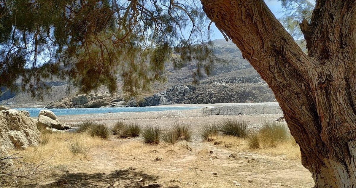 Крит дзен. Греция остров гавдос. Малотира крымская. Крит дзен. Омалос крит.