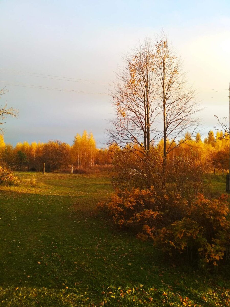 Моя дачная фотография (Ивановская область)