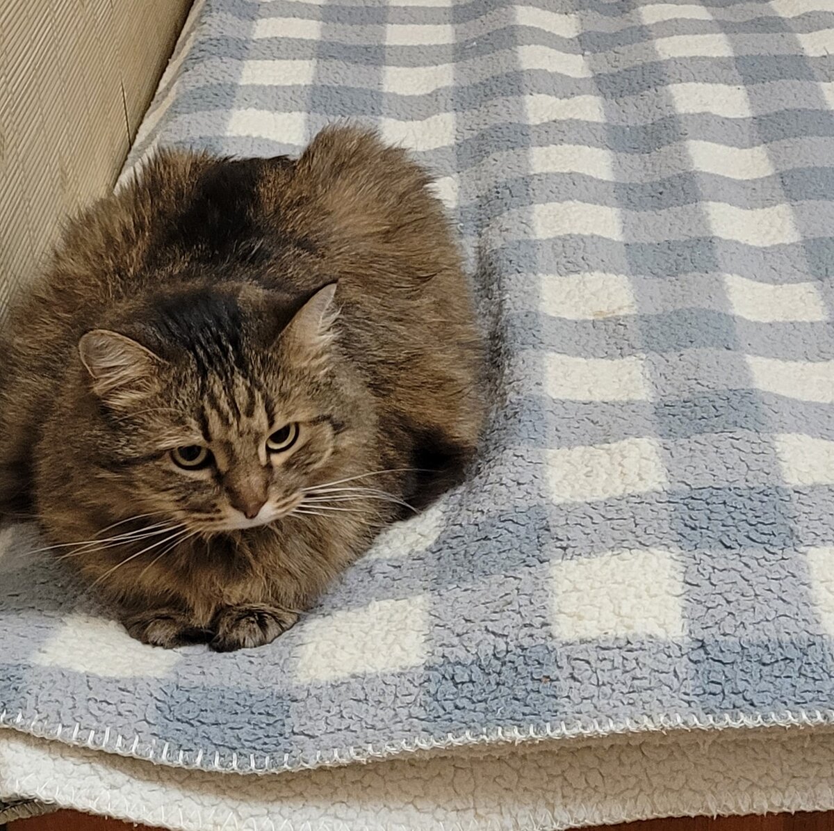 Всех ненавижу...