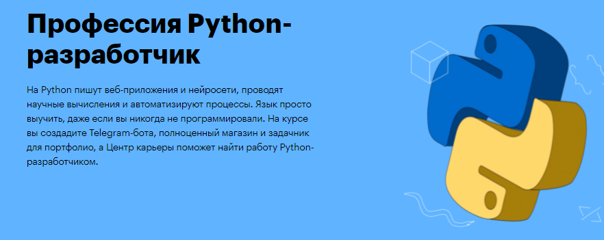 Обзор курса Python