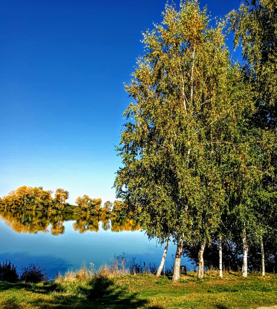 Глупая Алька. Окончание. | Язва Алтайская. | Дзен