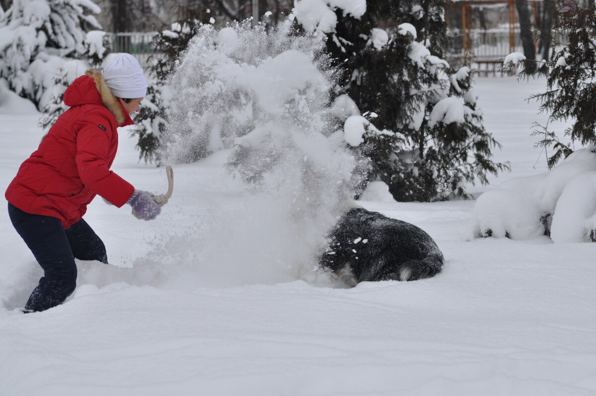 из личного альбома