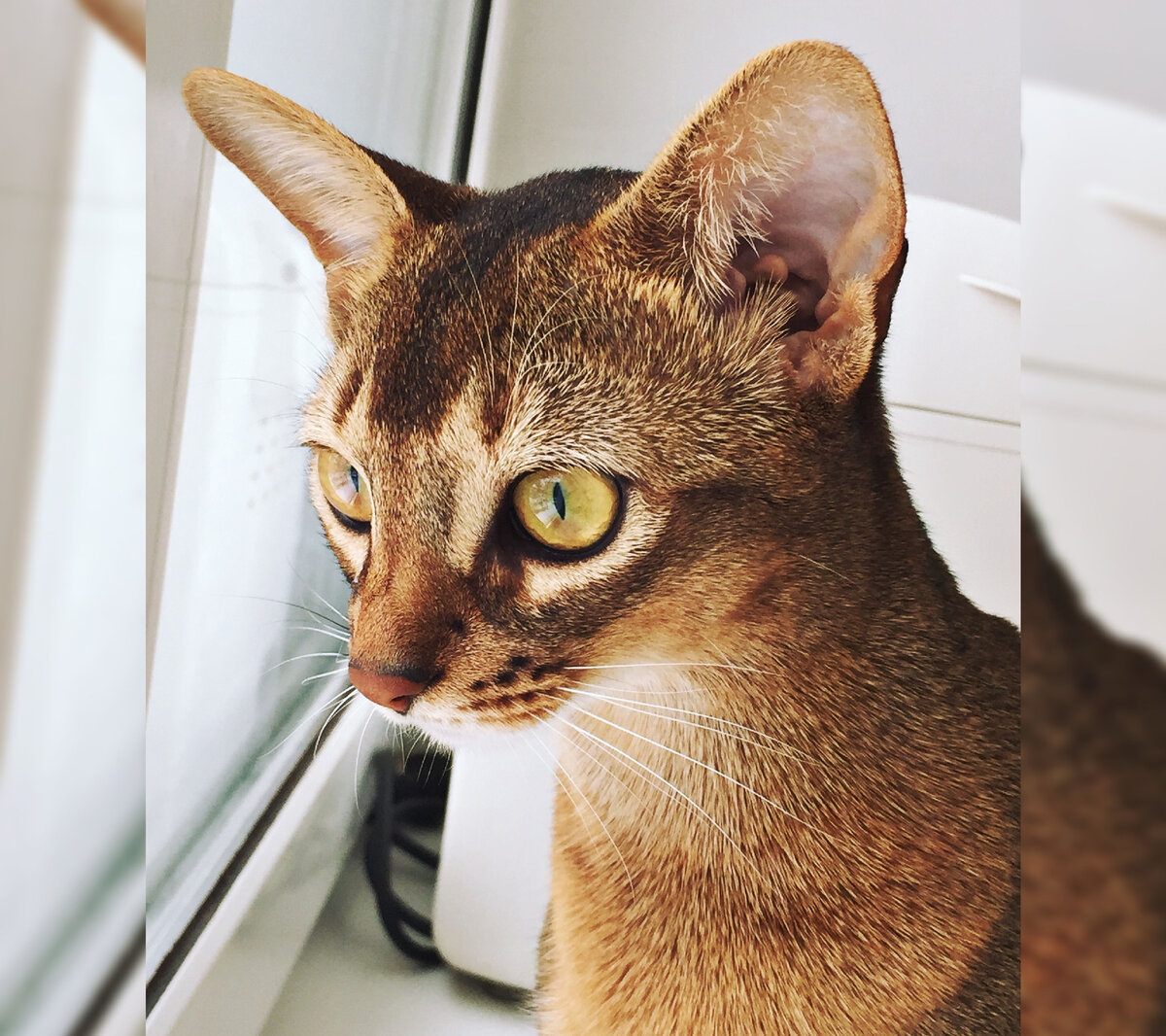 Извините, не подскажите номерок мастера, у которого вы делали мейкап? 