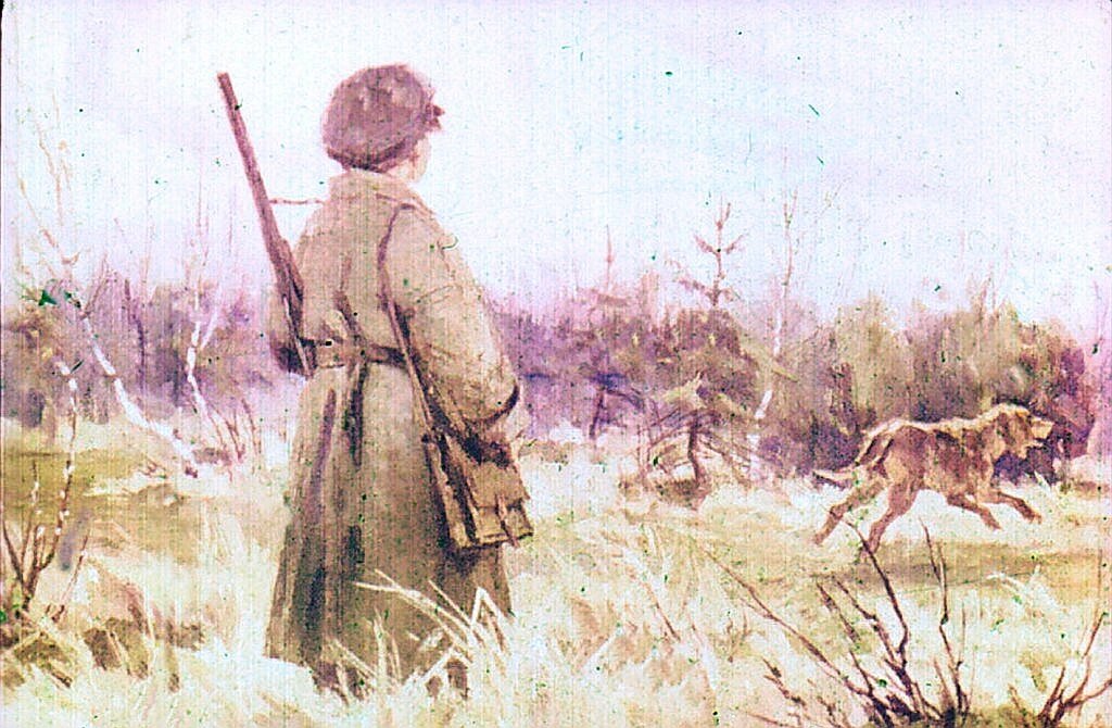 Кладовая солнца картинки