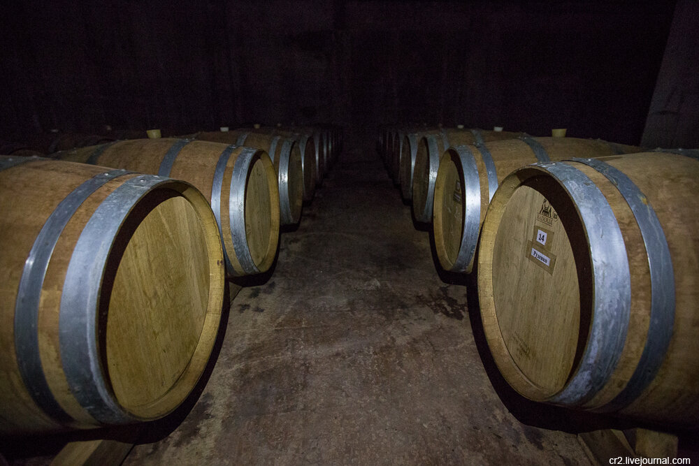 Винодельческое хозяйство "Эльбузд". Винный погреб. Ростовская область. Фото автора статьи  