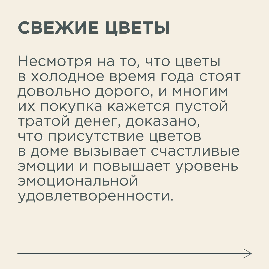 Вы могли этого не знать: 9 вещей, которые должны быть в каждом доме. Они  гарантируют хорошее настроение | Новый очаг | Дзен