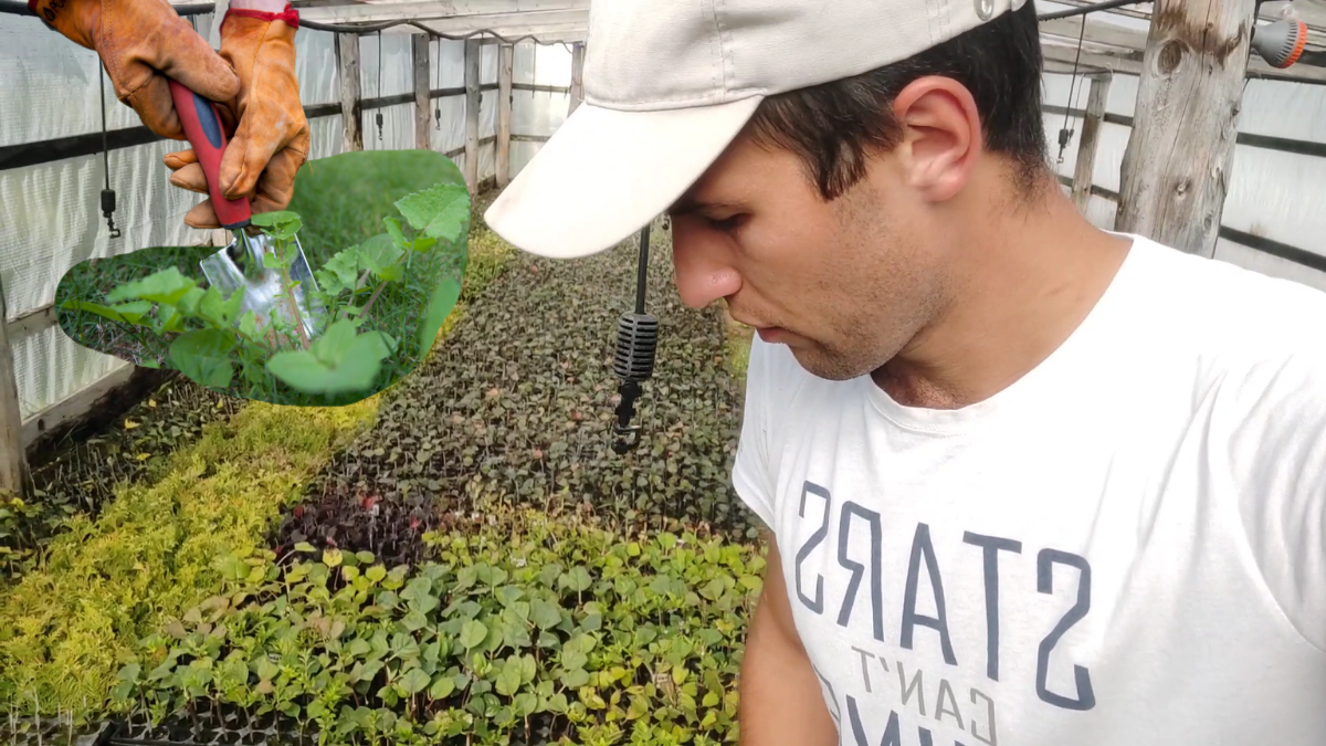 Михаил Плехов - Подписывайтесь на канал!