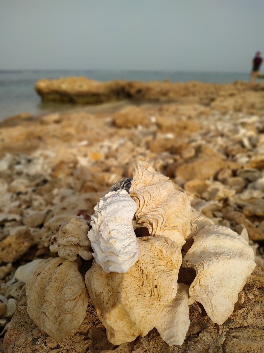 Одним пляжем сыт не будешь