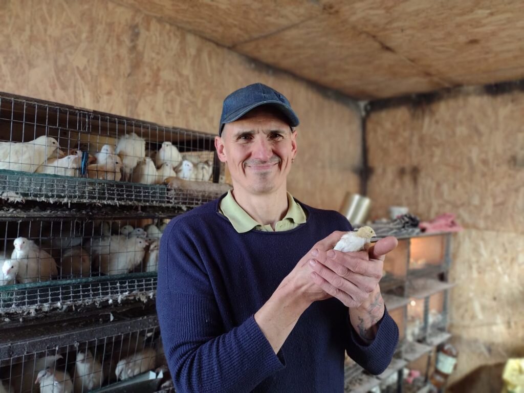 Перепелка — это не только ценное мясо и вкусные яйца. Это — отличное удобрение для огорода, точно знает Владимир Ковригин.