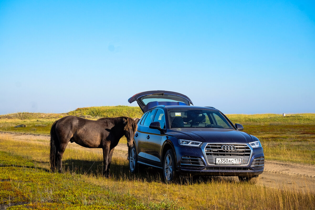 Я даже успела сделать несколько кадров до тех пор, пока они не пошли в атаку