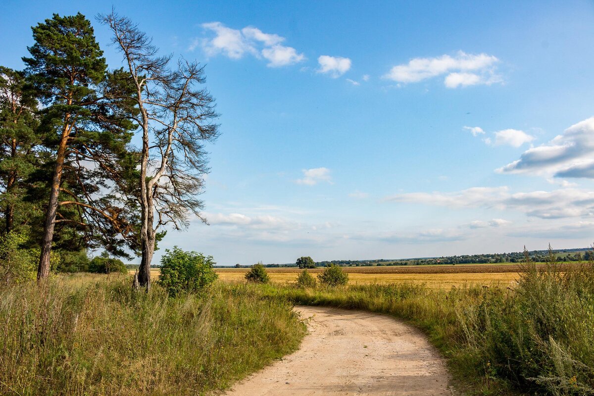 Фото: https://pixabay.com/ru