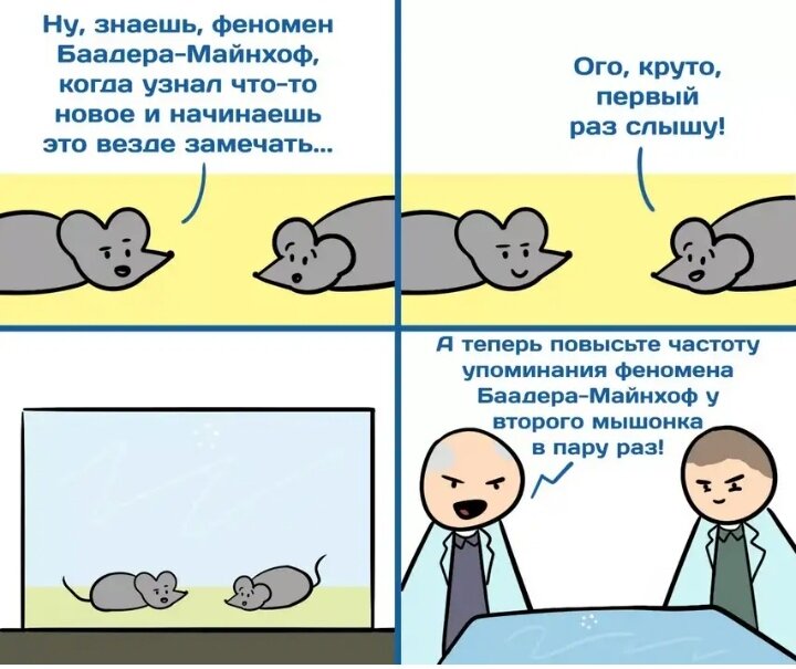 Фото с сайта https://www.b17.ru/article/315705/