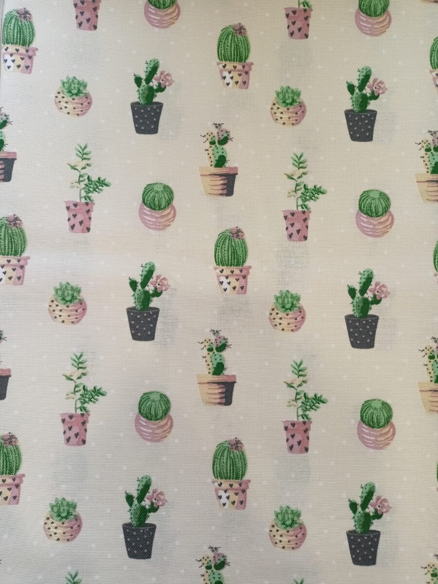 Из серии "Кактусы" 