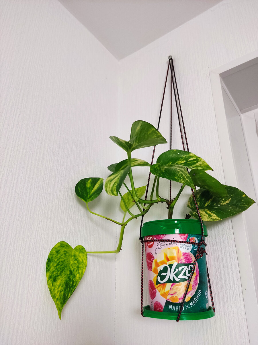 Висит высоко, почти у самого потолка