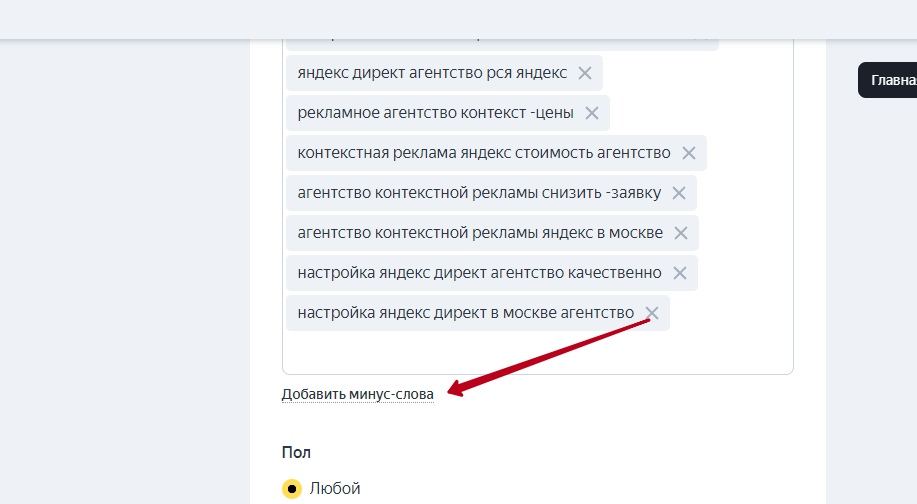 В начале апреля на многих аккаунтах появились минус-слова в Мастере кампаний