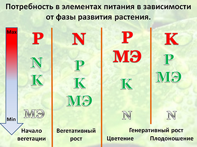 Потребность в элементах питания. Таблица потребности растений в элементах питания. Потребность растений в элементах минерального питания. Потребность элементов питания томатов.