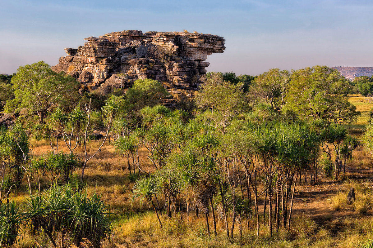 фото из открытого источника