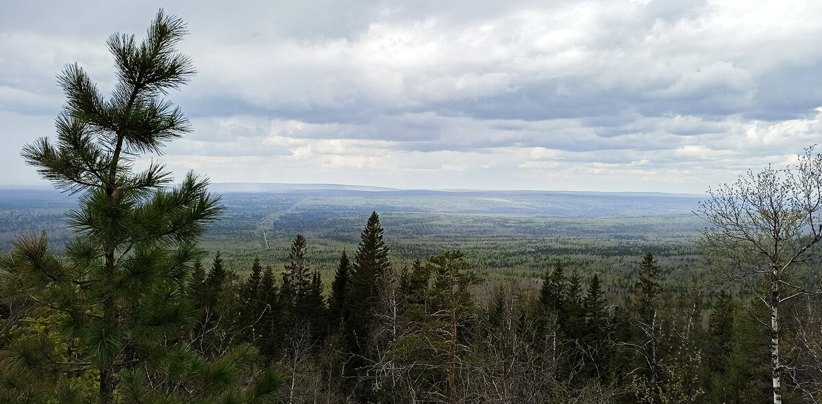 Фото: Владимир Белкин/Octagon.Media