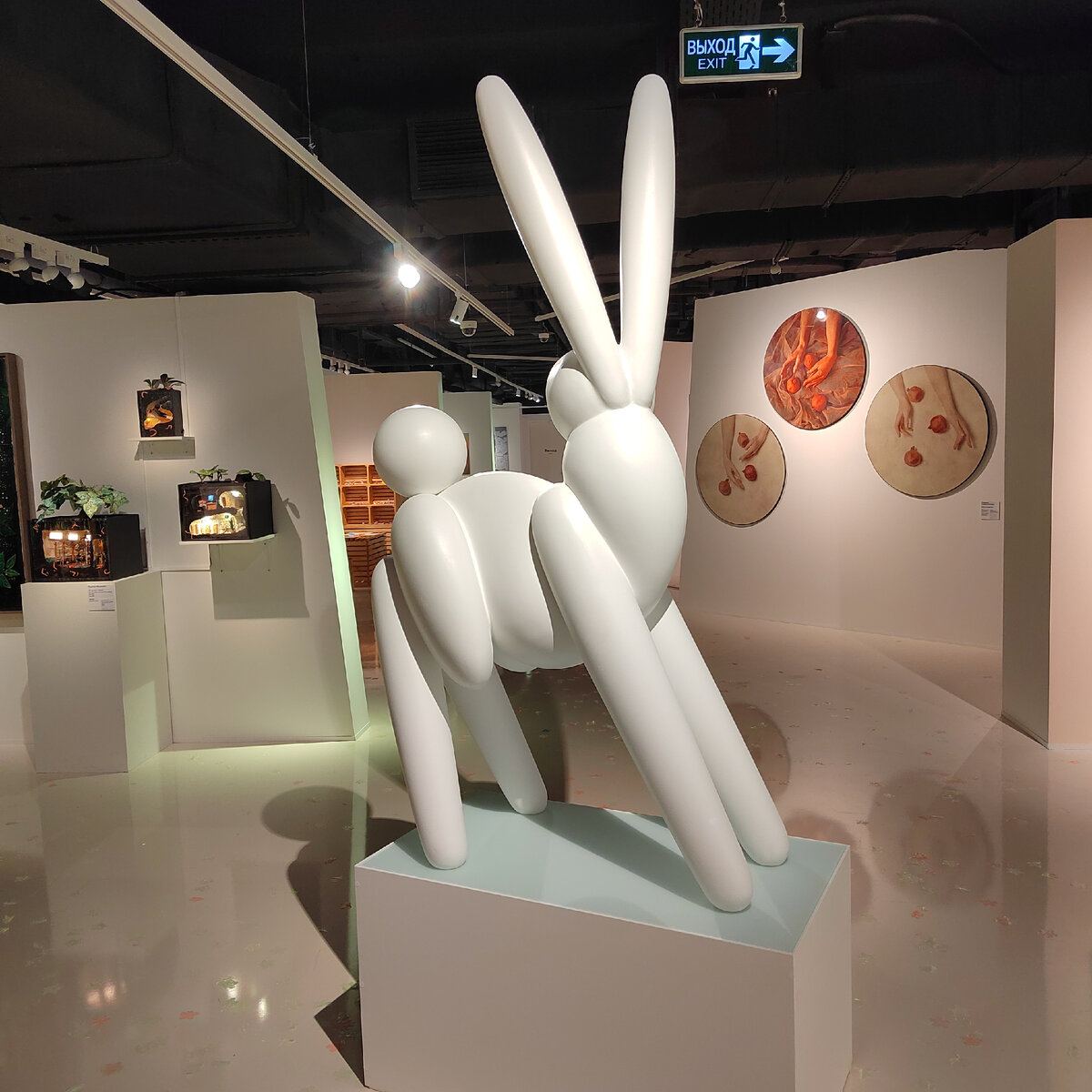 Тема Сюлев, Заяц Большой