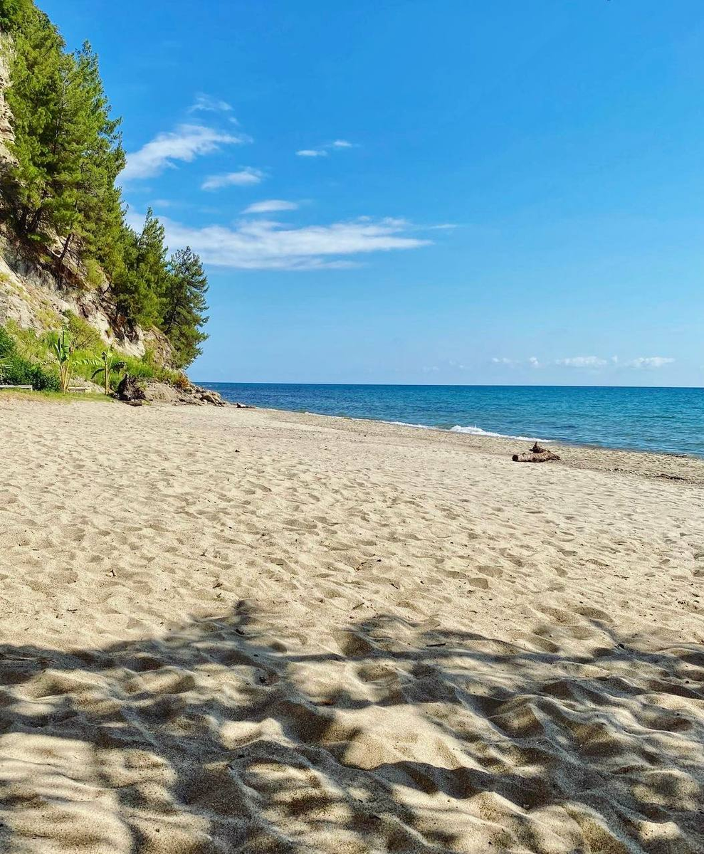  "Арбика"Абхазия, Пицунда