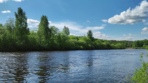 Река Луга Толмачево (56 фото)