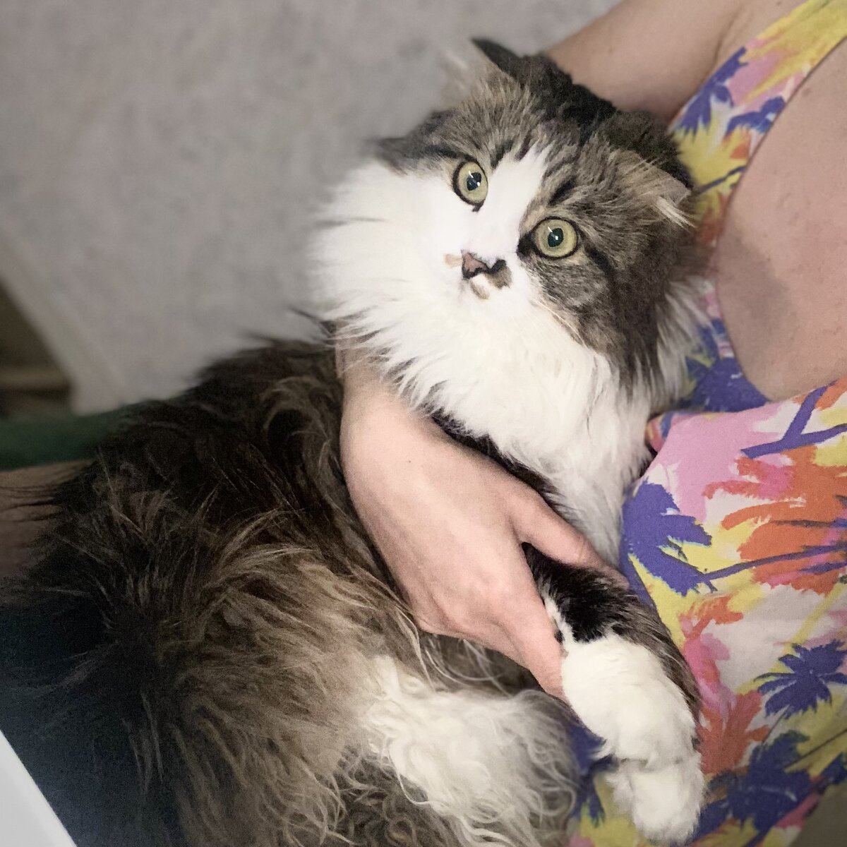 Читает публикацию про котят. Вот так новости!