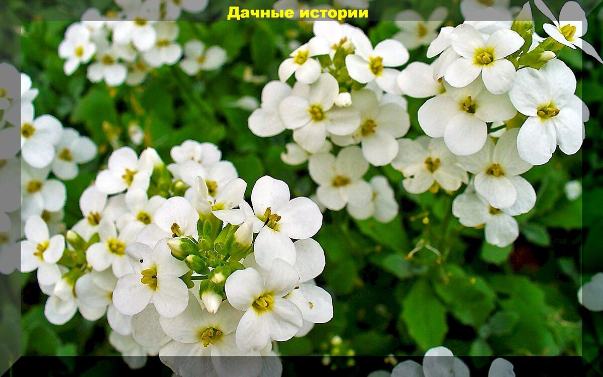 https://vk.com/photo-159774511_457253849