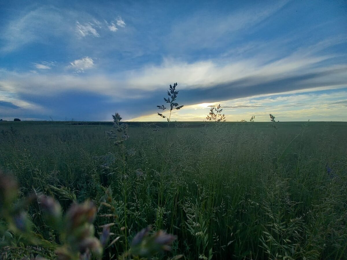 «Человек с природою един, когда они вместе и рядом – ты не один…».