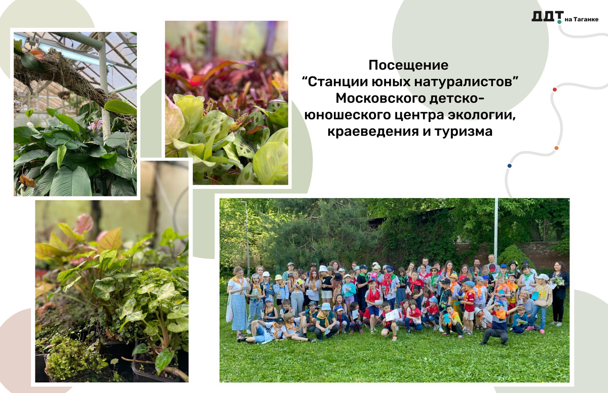 🦋Какие насекомые являются самыми популярными в Москве? 💨Как проводить экологический мониторинг почвы, воды и воздуха?
🐰Какие виды позвоночных животных обитают в Московском регионе и каковы особенности их строения?
🐞На все эти вопросы знают ответы участники летней смены "Нескучных каникул", ведь недавно они посетили "Станцию юных натуралистов"!
🐝Коллеги из "Московского детско-юношеского центра экологии краеведения и туризма" с радостью подготовили для наших воспитанников экологический квест!
🌿На этой экскурсии каждый из ребят узнал для себя что-то новое и интересное!
#ДОНМ #ДополнительноОбразованиМосквы #ддтнатаганке #таганкамосква #таганка #нескучныеканикулы #МДЮЦЭКТ #станцияюннатов