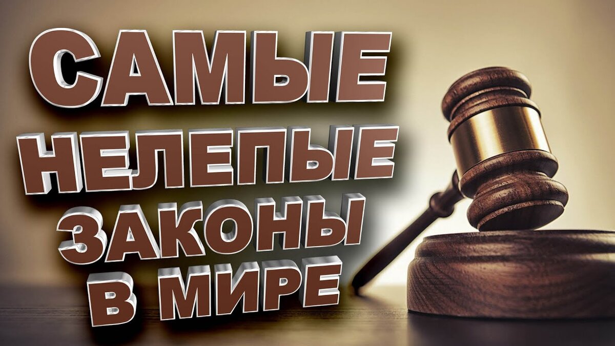 Интересные законы. В мире закона. Юридический казус это. Закон смешные картинки. Веселые законы.