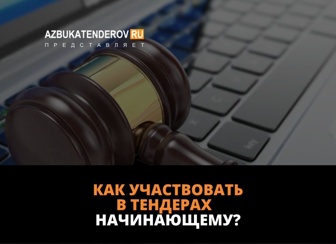 Тендер начало. Как участвовать в тендерах начинающему. Как участвовать в торгах начинающему. Победа в тендере.