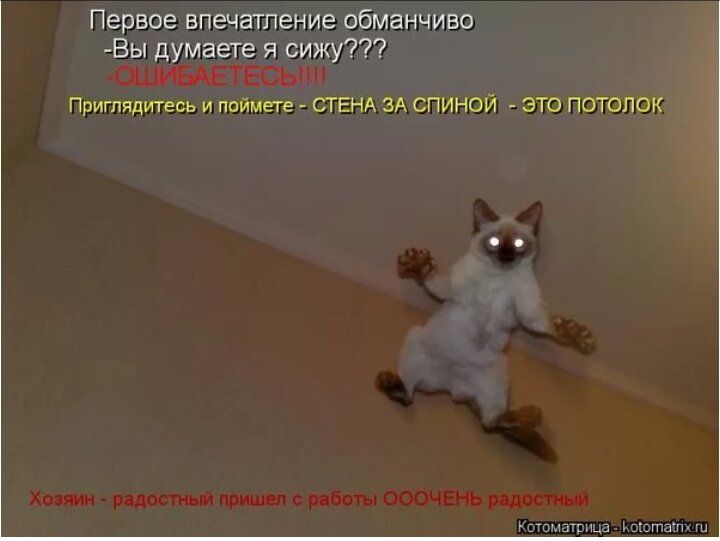 Первое впечатление. Первое впечатление бывает обманчиво. Первое впечатление о человеке. Первое впечатление может быть обманчивым. Почему первое впечатление может быть обманчивым егэ.