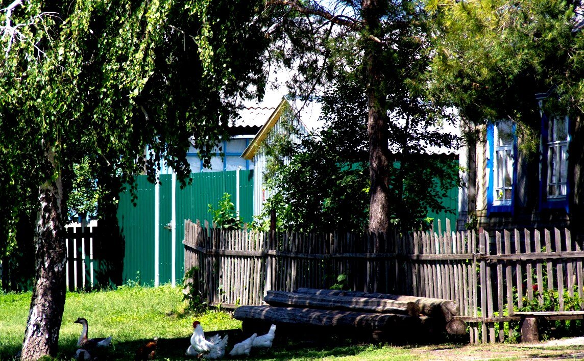 Село дубовый умет самарская область карта
