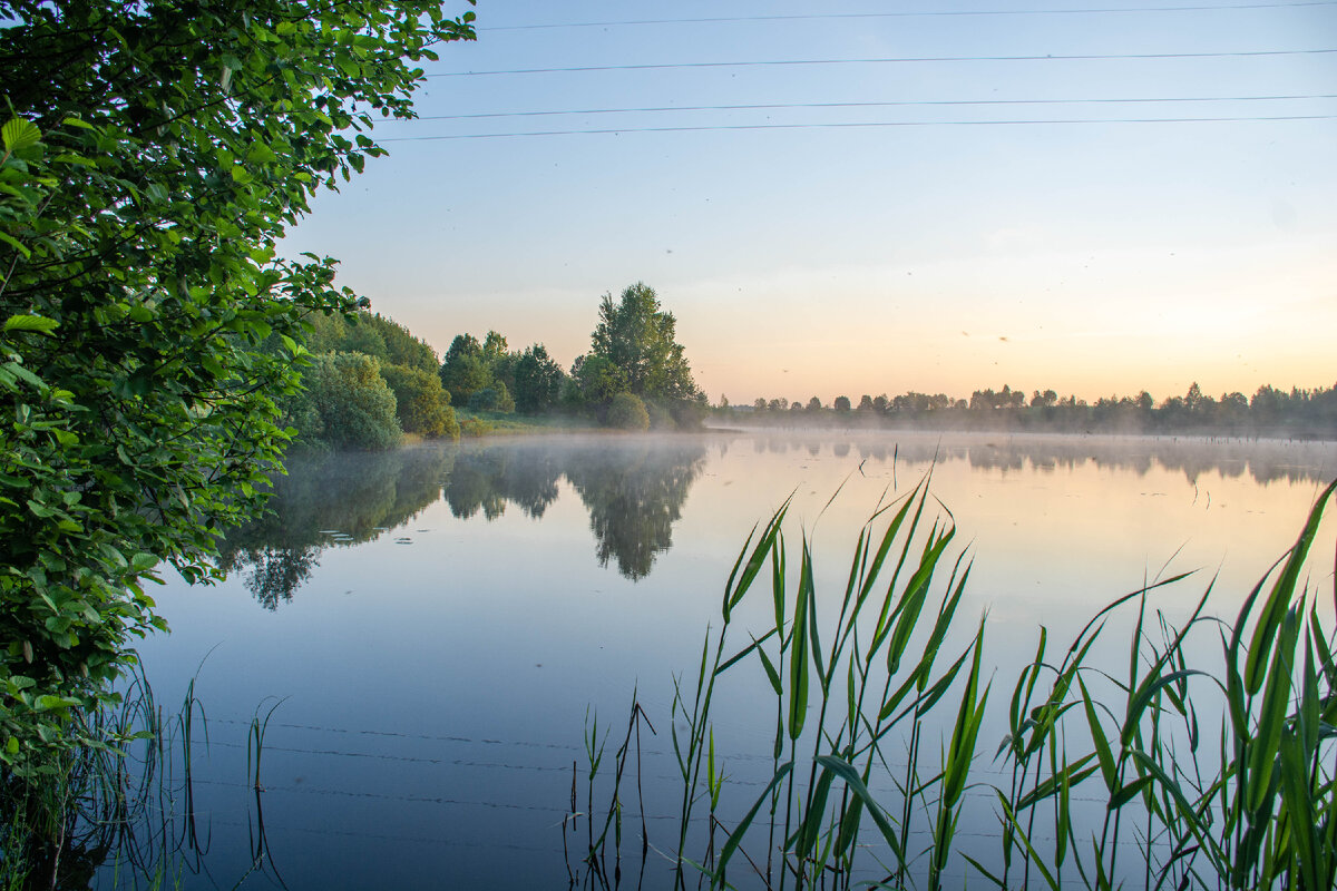 Пруд в Приставках
