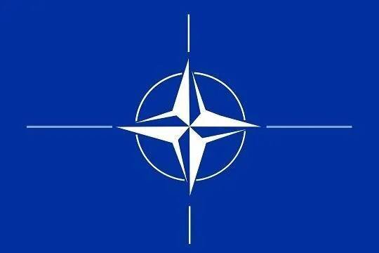    Президент Эстонии Алар Карис заявил о подготовке к размещению дивизии НАТО
