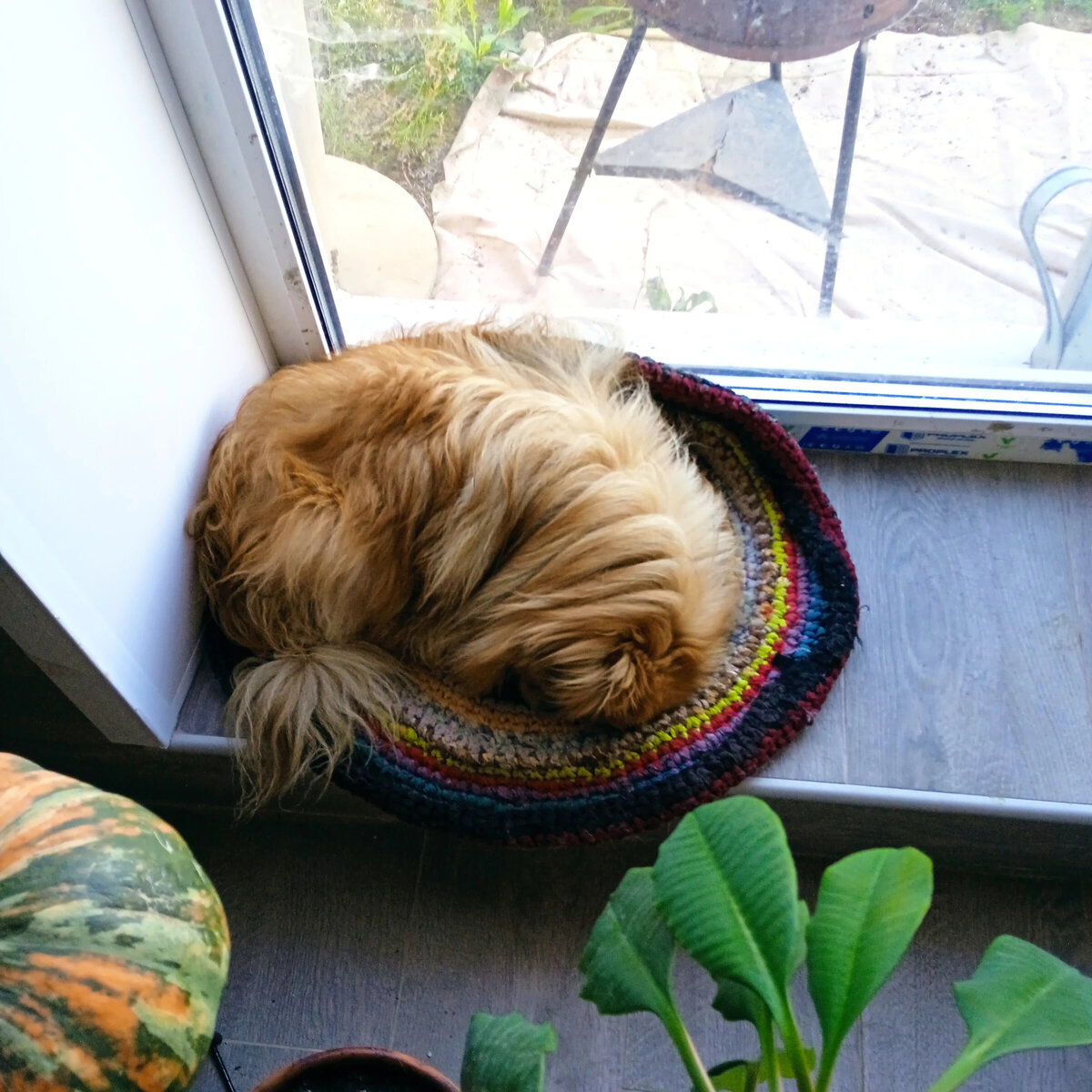 Источник фото-@denseman 