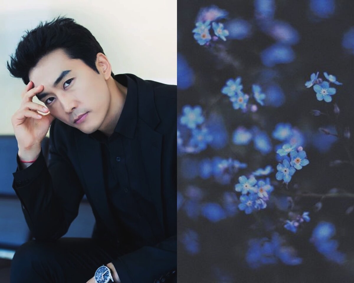 Сон Сын Хон