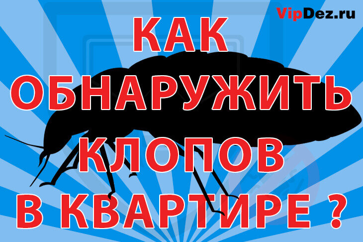 Как обнаружить клопов в квартире?