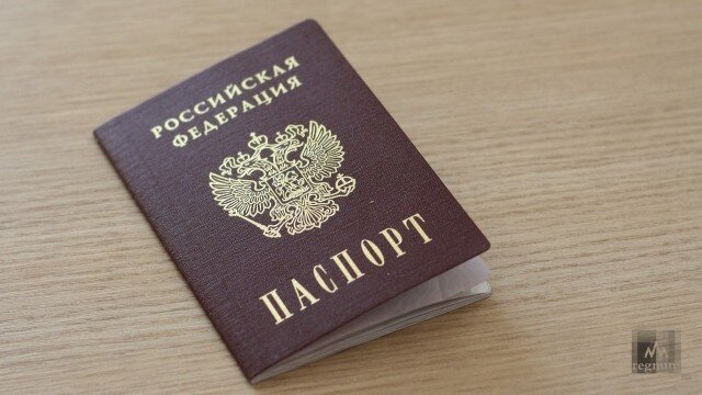    Паспорт гражданина РФ Анна Рыжкова © ИА REGNUM
