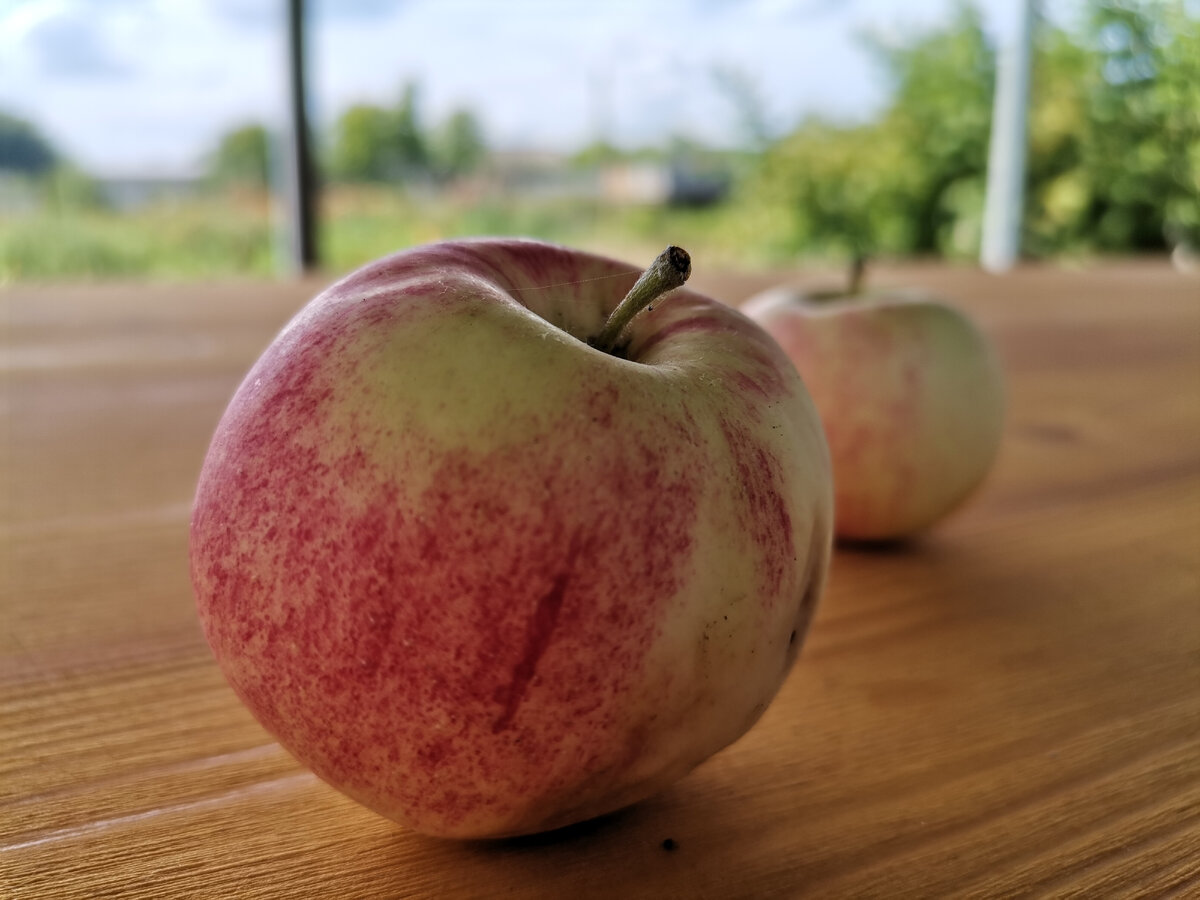Фото автора «Уголок моей души»