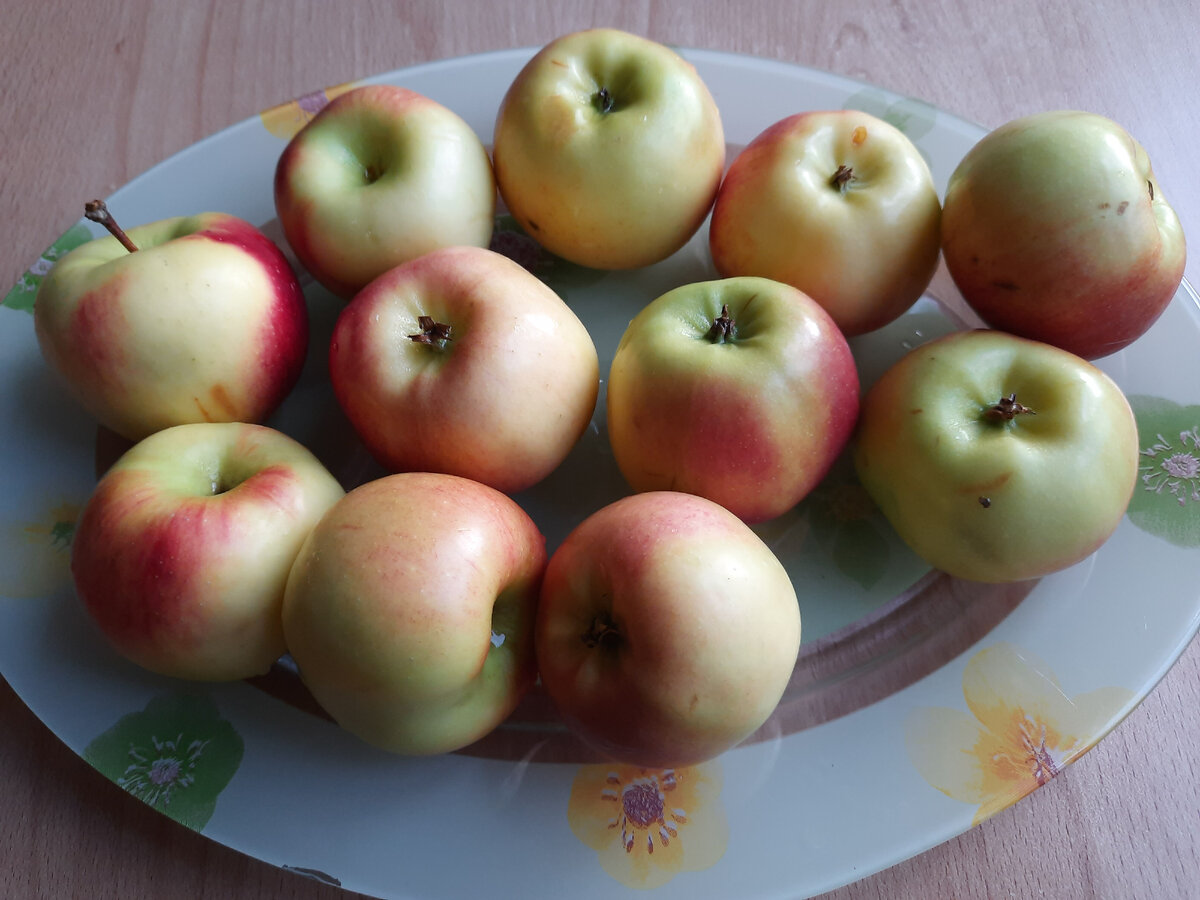 Краснодар порадовал