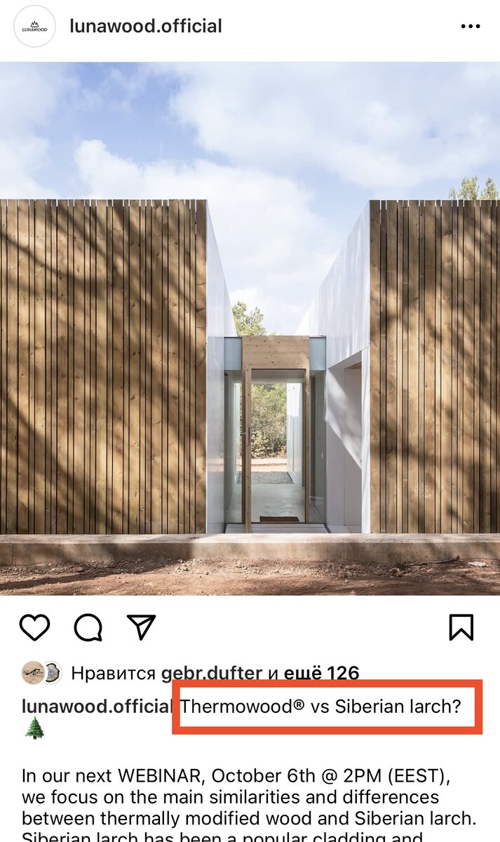 Термодерево или Сибирская лиственница 