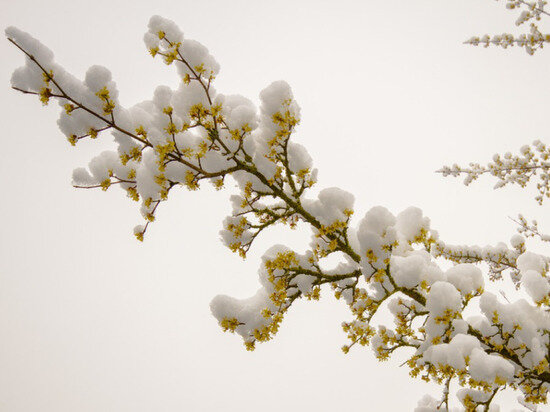     ФОТО: PIXABAY