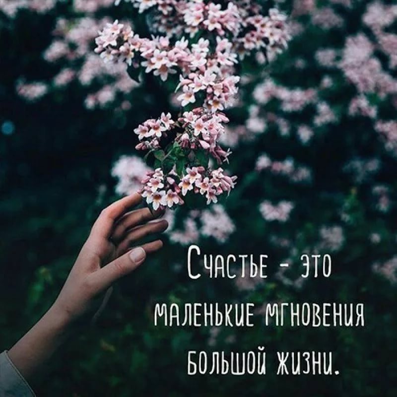 Фото из интернета
