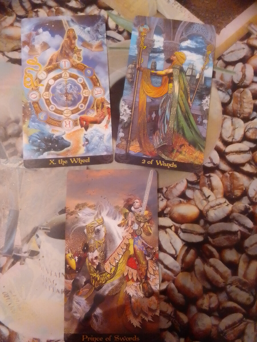 Личное фото автора.