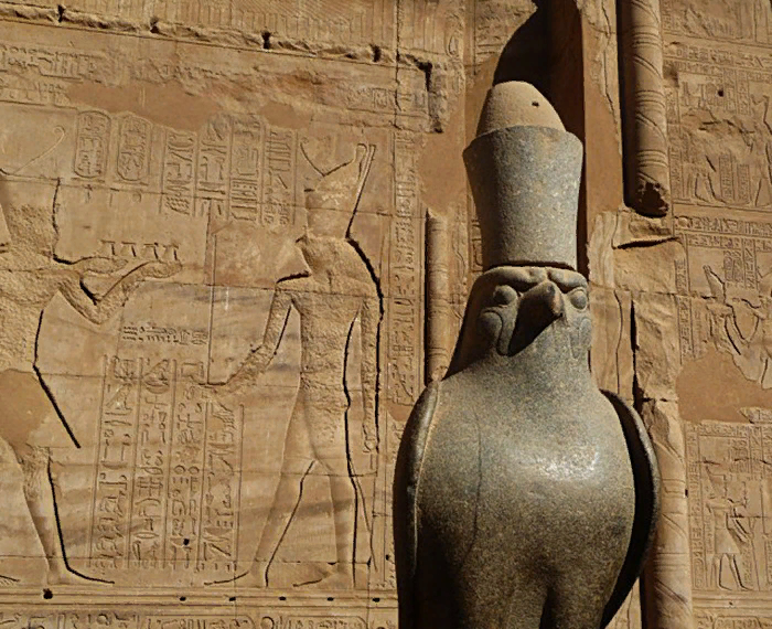 Ястреб в египте