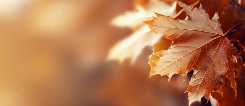 Фото: freepik