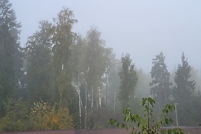    Туман в Красногорске ©Мария Савосина РИАМО в Красногорске