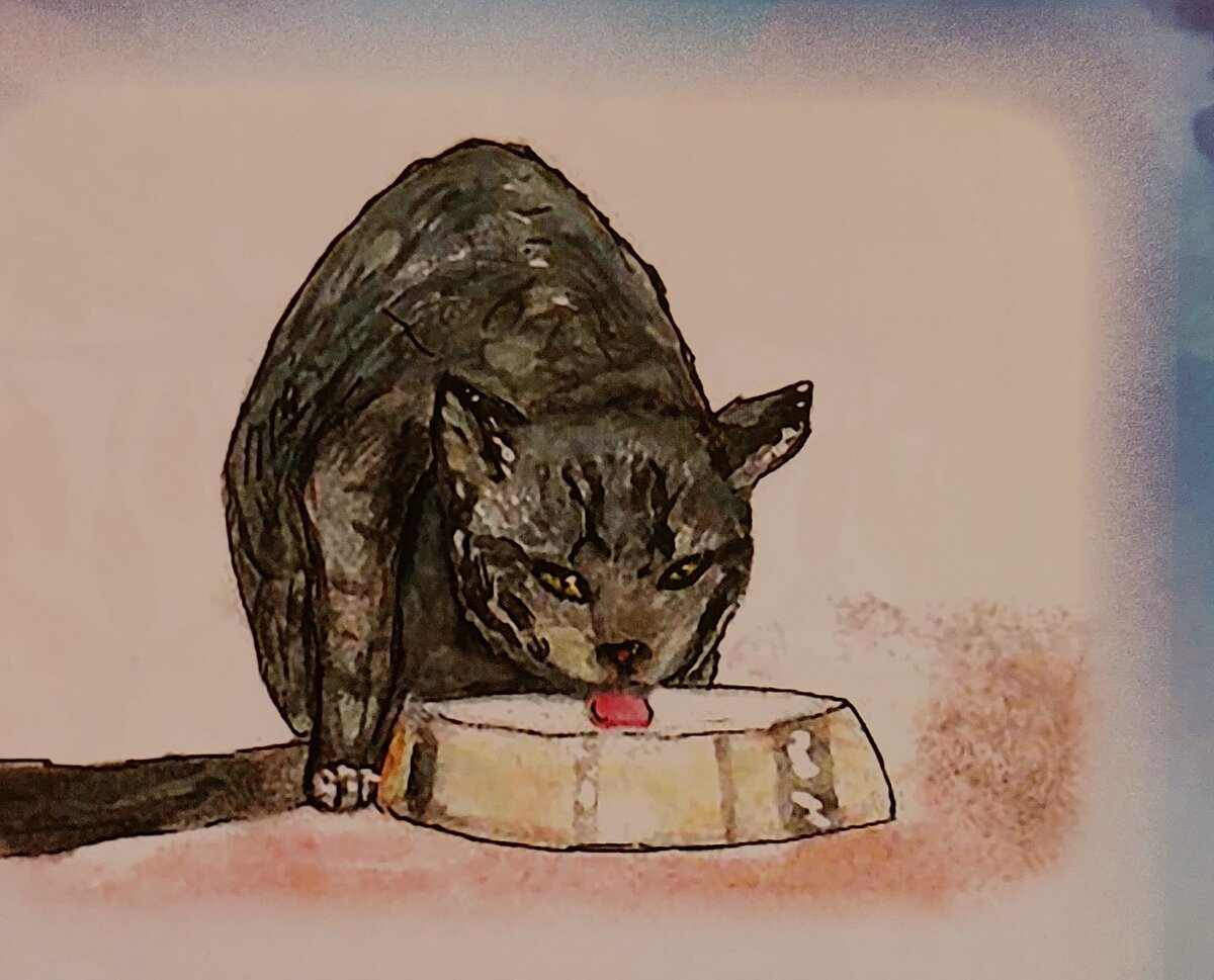 Рисунок Широких О.Н.